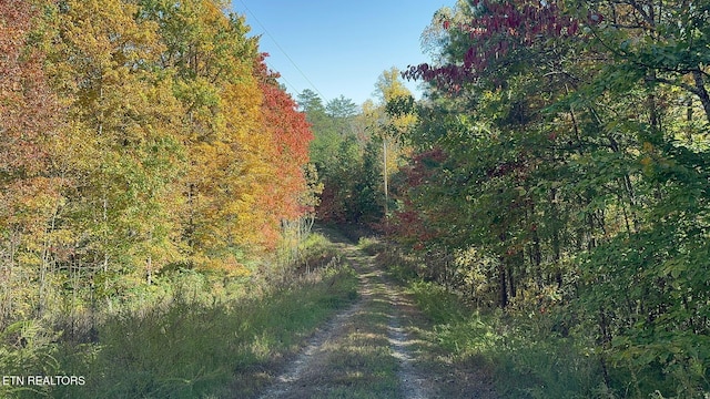 Padgett Mill Rd Off, Unit Off, Cosby, TN 37722