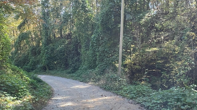 Padgett Mill Rd Off, Unit Off, Cosby, TN 37722