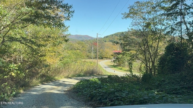 Padgett Mill Rd Off, Unit Off, Cosby, TN 37722