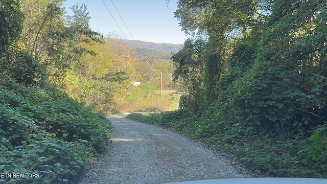 Padgett Mill Rd Off, Unit Off, Cosby, TN 37722