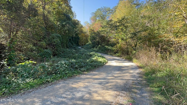 Padgett Mill Rd Off, Unit Off, Cosby, TN 37722