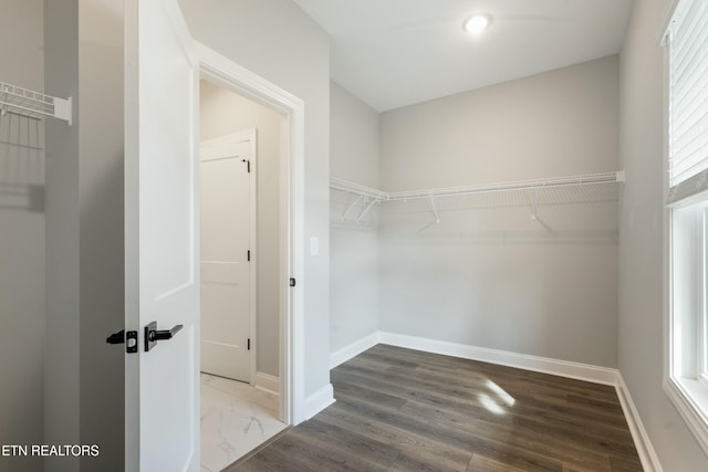 spacious closet with dark wood-type flooring