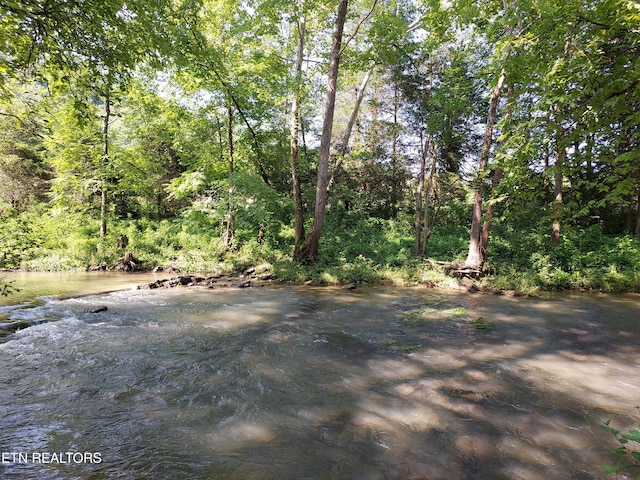 Listing photo 2 for TBD Paw Paw Rd, Thorn Hill TN 37881