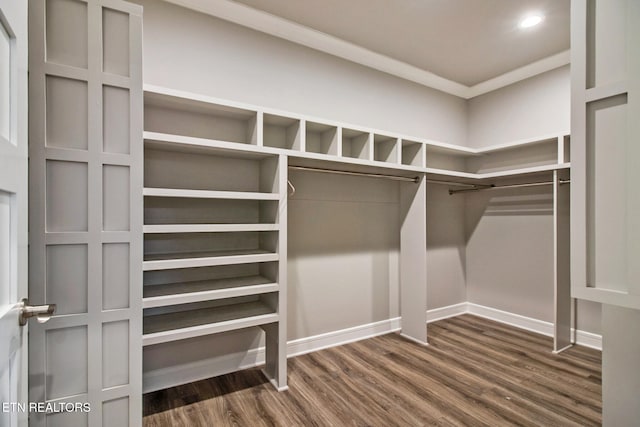 walk in closet with dark wood-type flooring