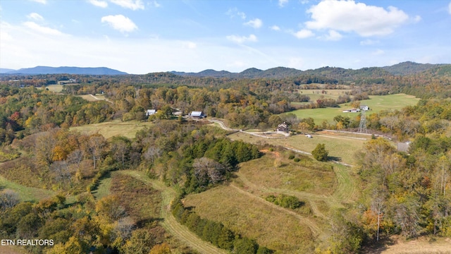 aerial view with a mountain view