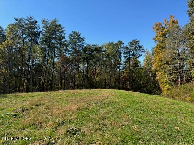 TRACT1 County Road 480, Englewood TN, 37329 land for sale