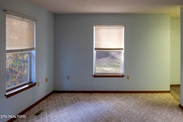 spare room featuring light colored carpet and a textured ceiling