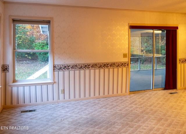 unfurnished room with carpet and a wealth of natural light