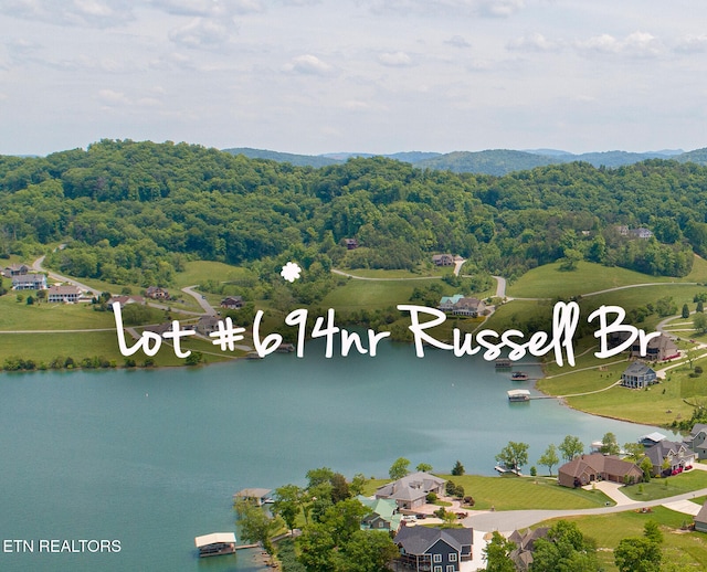 LOT694NR Russell Brothers Rd, Sharps Chapel TN, 37866 land for sale