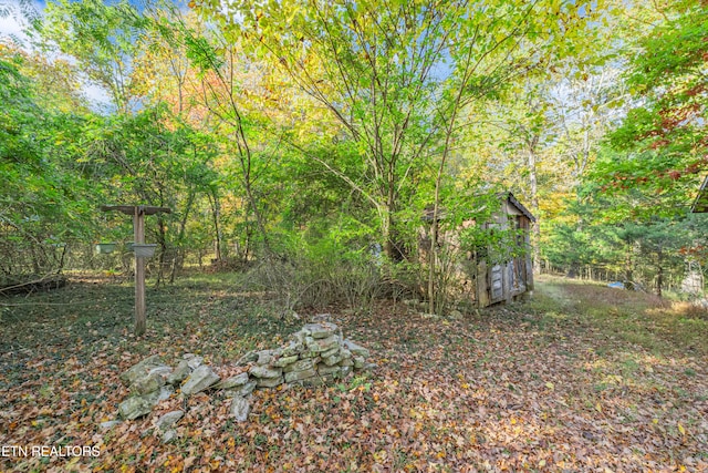 view of yard featuring a storage unit