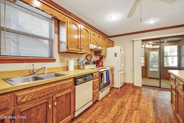 kitchen featuring light hardwood / wood-style floors, sink, ornamental molding, white appliances, and ceiling fan