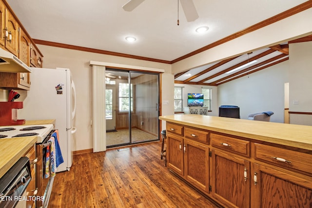 kitchen featuring black dishwasher, dark hardwood / wood-style floors, ceiling fan, crown molding, and white electric stove