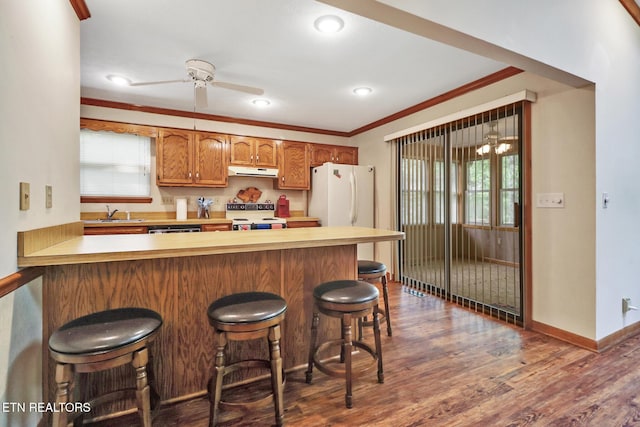 110 Trafalgar Dr, Fairfield Glade, TN 38558 - kitchen featuring light countertops, ceiling fan, under cabinet range hood, and electric range