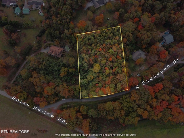N Sequoyah Dr, Friendsville, TN 37737