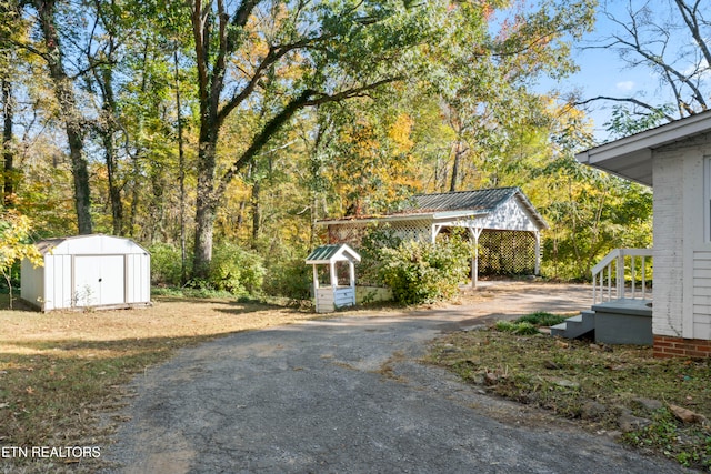 view of yard featuring a storage unit