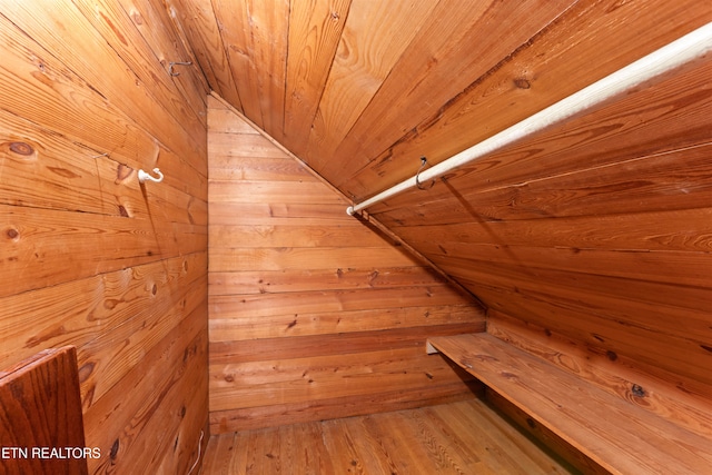 spacious closet with lofted ceiling and wood-type flooring