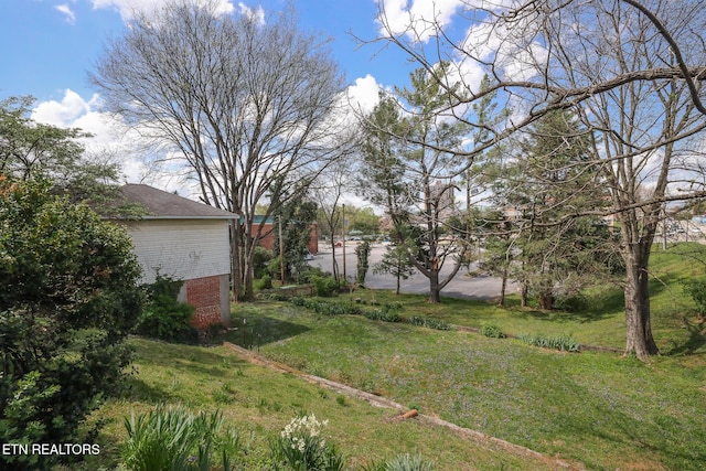425 S Court St, Maryville, TN 37803 - photo 6