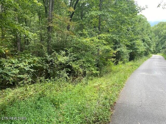 S Ottoma Dr, Crossville TN, 38555 land for sale