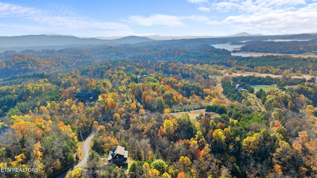 view of mountain feature