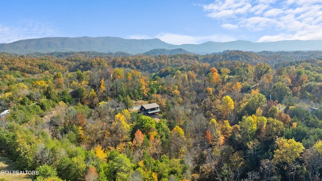 property view of mountains