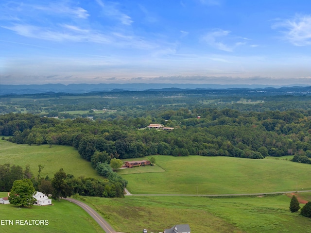 birds eye view of property featuring a mountain view