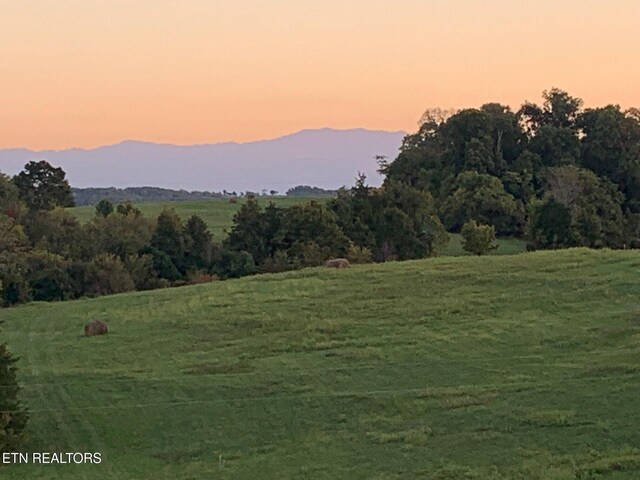 mountain view