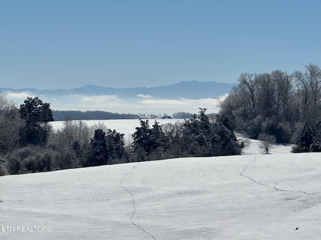 view of mountain feature