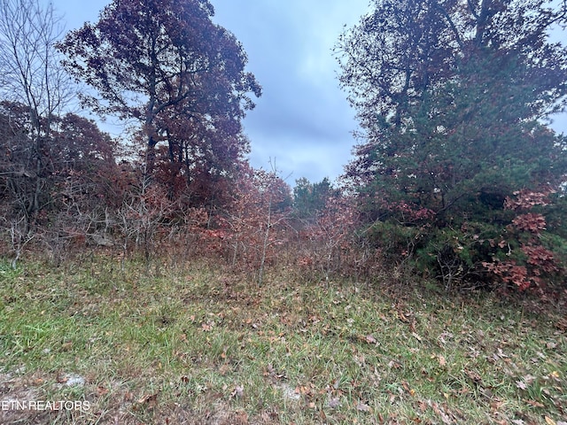 Old Collins Tpke, Deer Lodge TN, 37726 land for sale