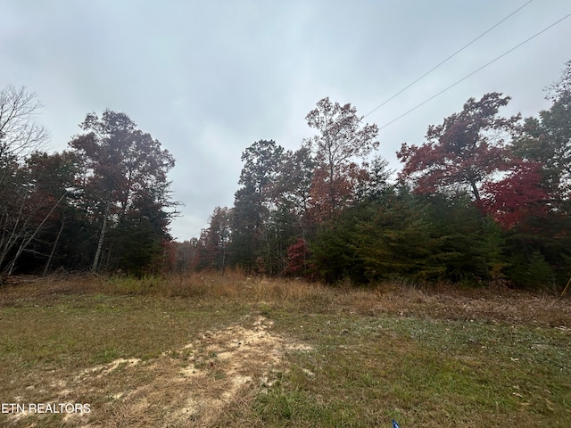 Listing photo 3 for Old Collins Tpke, Deer Lodge TN 37726