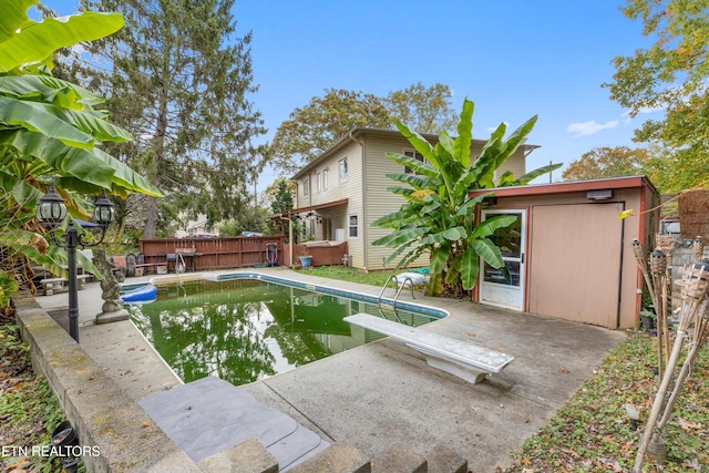 view of pool featuring a patio area and a diving board