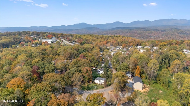 bird's eye view with a mountain view