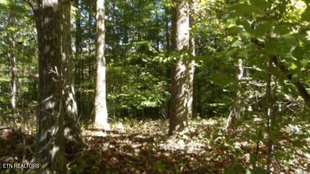 LOT2 Inland Ct, Sparta TN, 38583 land for sale