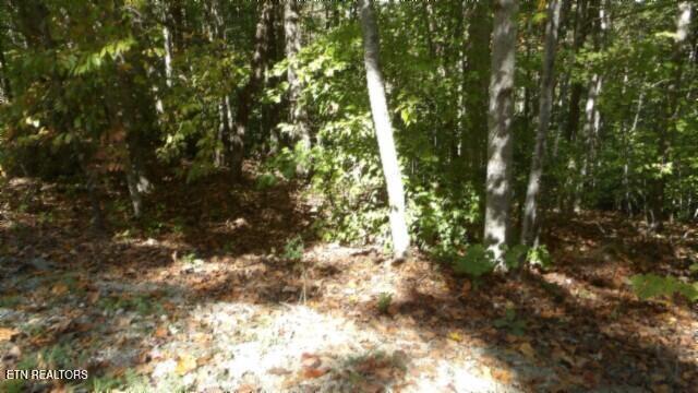 Listing photo 3 for LOT2 Inland Ct, Sparta TN 38583