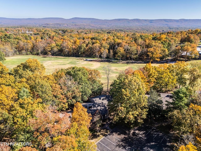 drone / aerial view with a mountain view