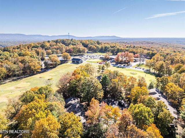 aerial view with a mountain view