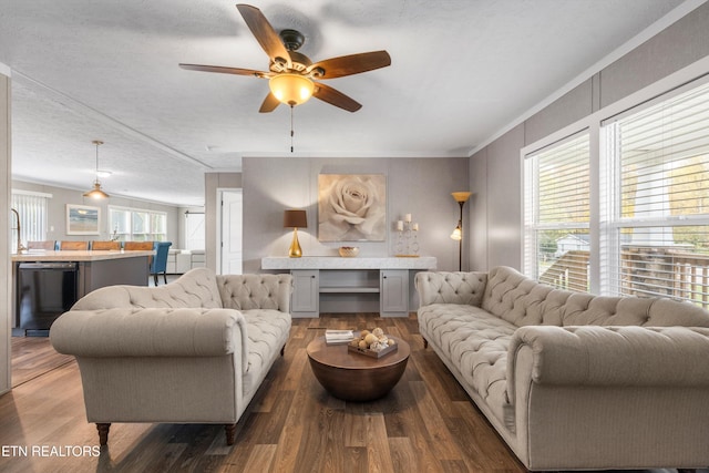 living room with ornamental molding, ceiling fan, a textured ceiling, and dark hardwood / wood-style flooring