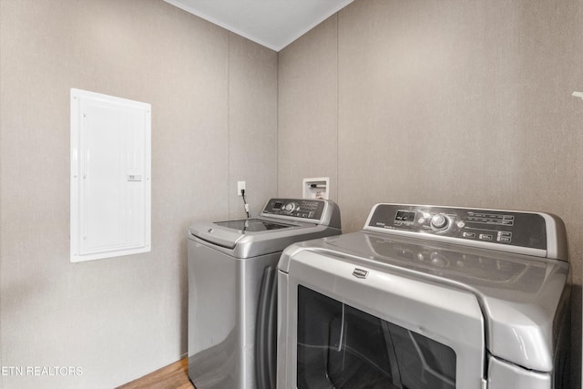 laundry area with electric panel, light wood-type flooring, and separate washer and dryer