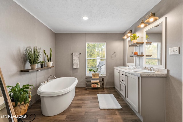 bathroom featuring vanity, hardwood / wood-style floors, a healthy amount of sunlight, and a bathtub