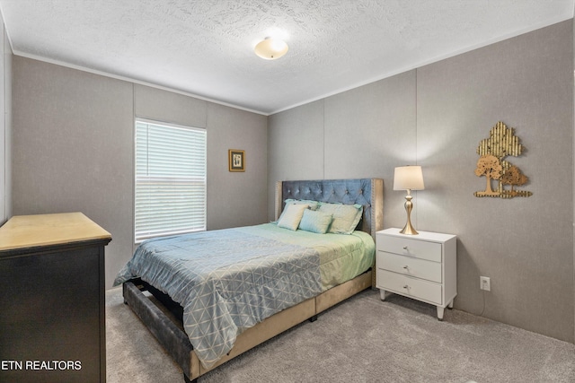 carpeted bedroom featuring crown molding and a textured ceiling