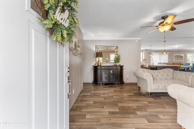 living room featuring a textured ceiling, wood-type flooring, and ceiling fan