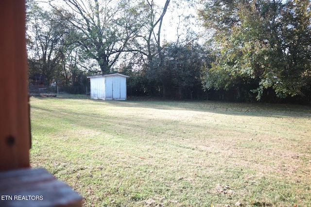 view of yard with a shed