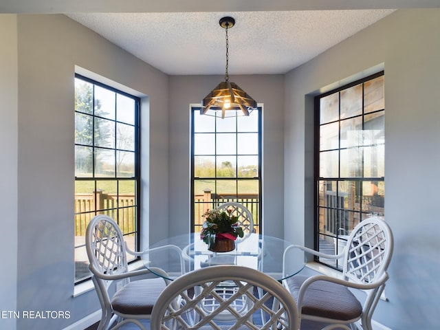 dining room with a textured ceiling