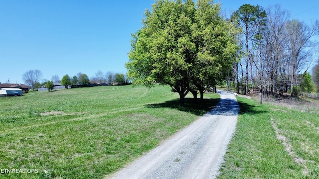 view of road