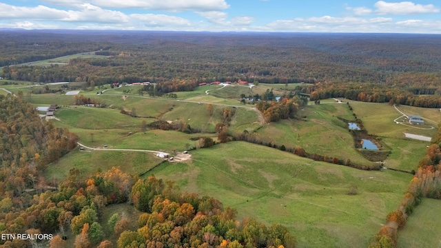 1186 Obey Blevins Rd, Jamestown, TN 38556 - photo 47