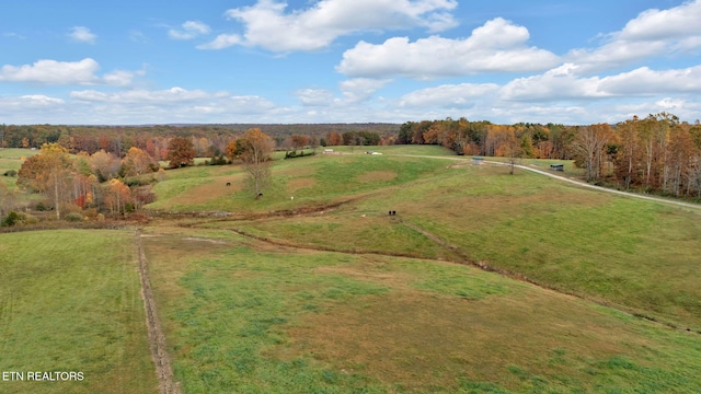 1186 Obey Blevins Rd, Jamestown, TN 38556 - photo 48