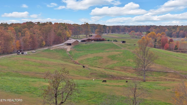 1186 Obey Blevins Rd, Jamestown, TN 38556 - photo 14