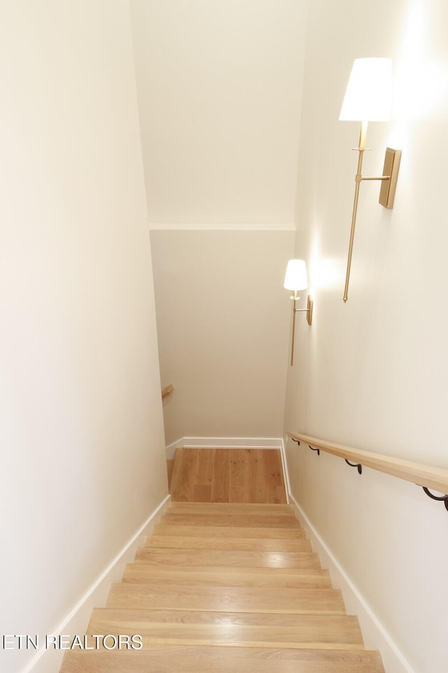 staircase featuring wood-type flooring