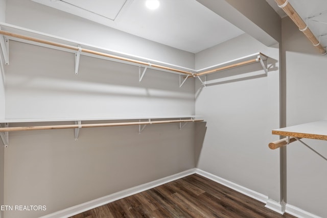 spacious closet featuring dark hardwood / wood-style floors