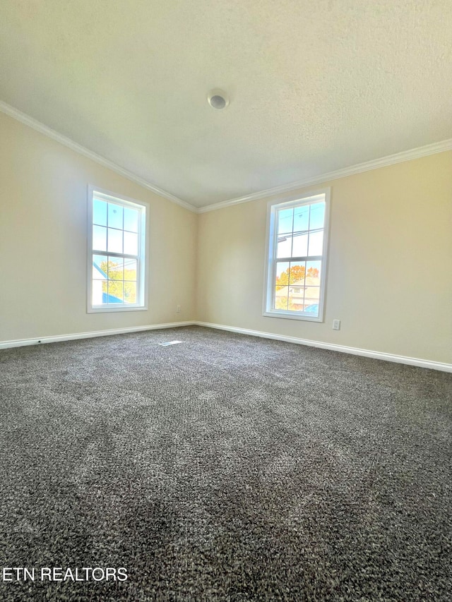 carpeted spare room featuring ornamental molding, plenty of natural light, and a textured ceiling