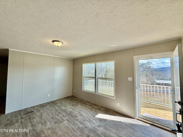 spare room with a textured ceiling, a healthy amount of sunlight, and light wood-style floors